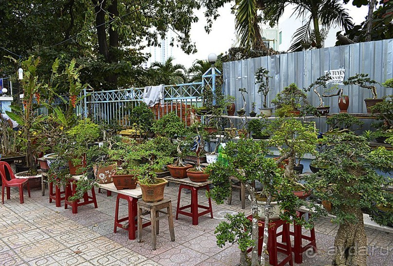 НЯЧАНГ НОВОГОДНИЙ !