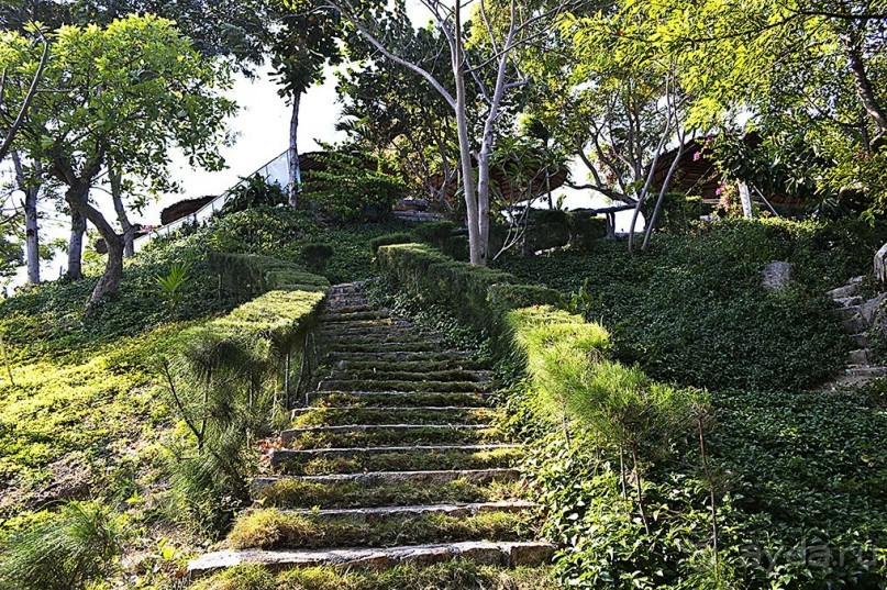 НЯЧАНГ НОВОГОДНИЙ !