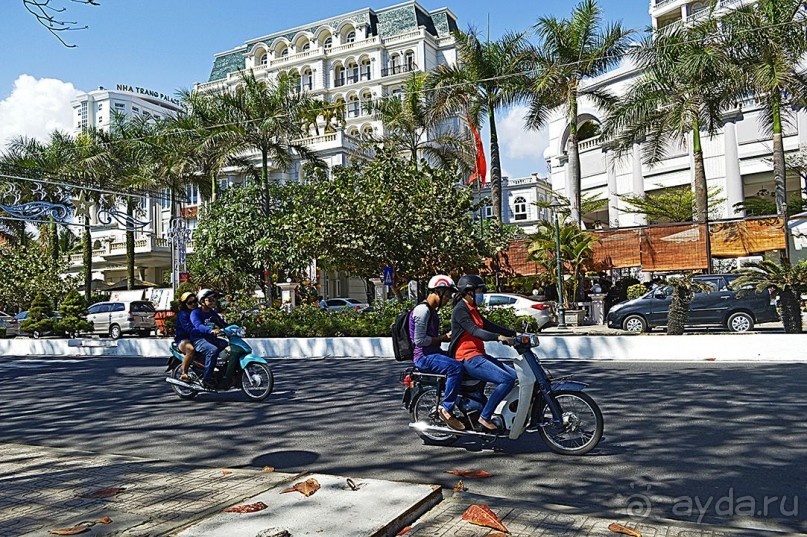 НЯЧАНГ НОВОГОДНИЙ !