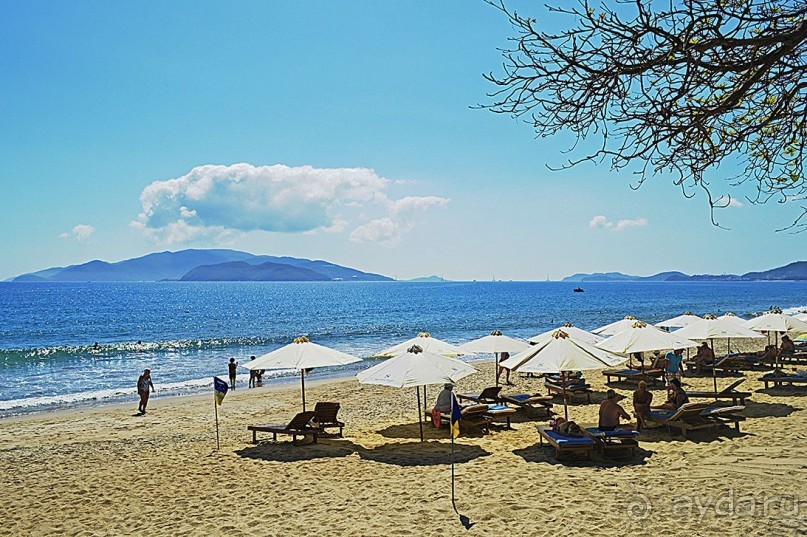 НЯЧАНГ НОВОГОДНИЙ !