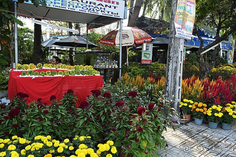 НЯЧАНГ НОВОГОДНИЙ !