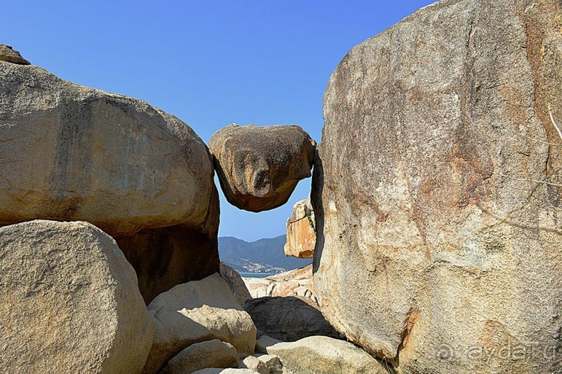 НЯЧАНГ НОВОГОДНИЙ !