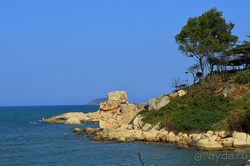 НЯЧАНГ НОВОГОДНИЙ !