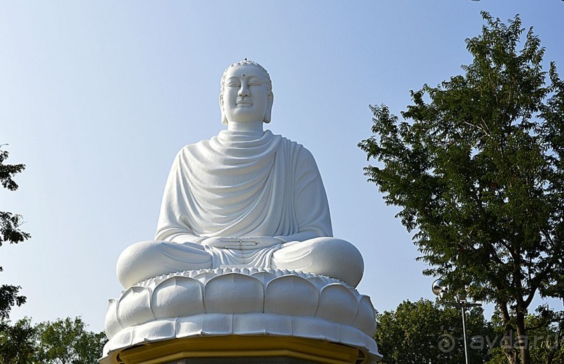 НЯЧАНГ НОВОГОДНИЙ !