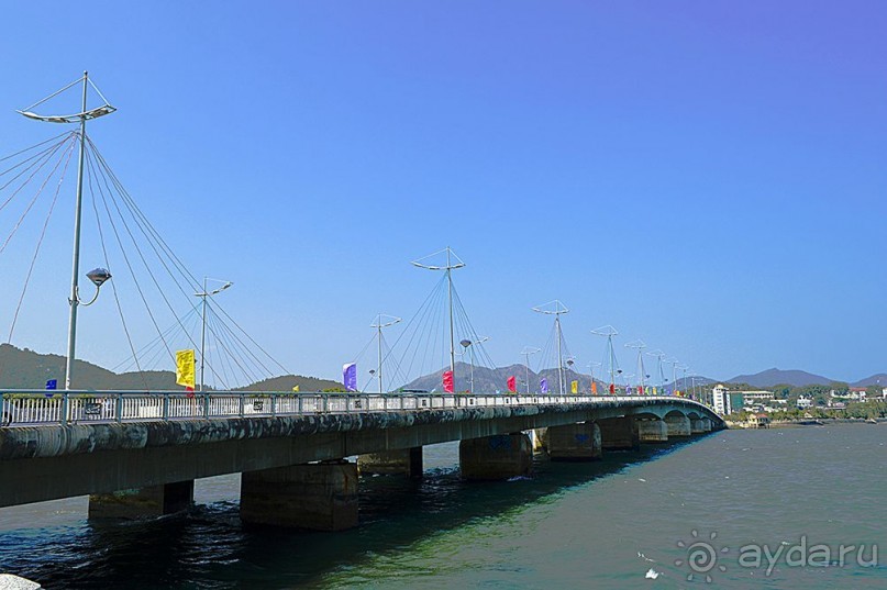 НЯЧАНГ НОВОГОДНИЙ !