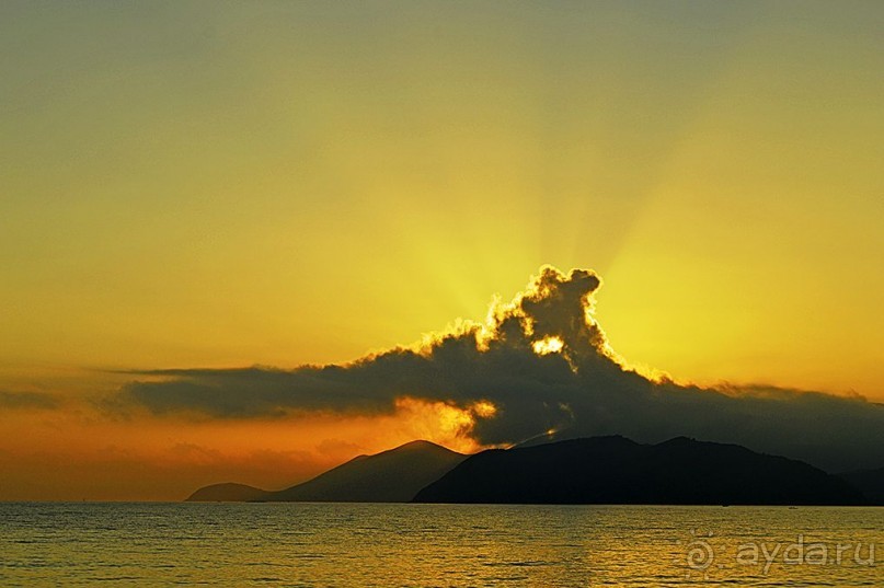 НЯЧАНГ НОВОГОДНИЙ !