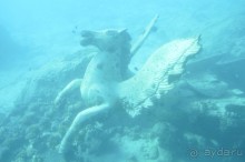 Альбом отзыва "Африканские записки"