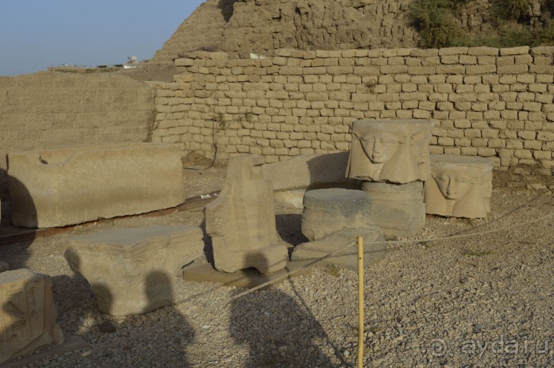 Альбом отзыва "Африканские записки"