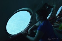 Альбом отзыва "Африканские записки"