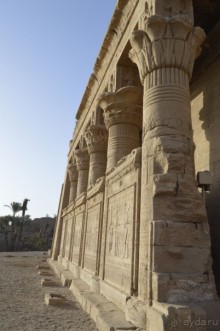 Альбом отзыва "Африканские записки"