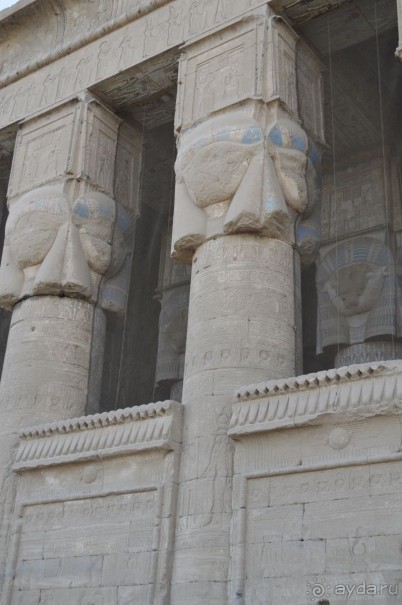 Альбом отзыва "Африканские записки"