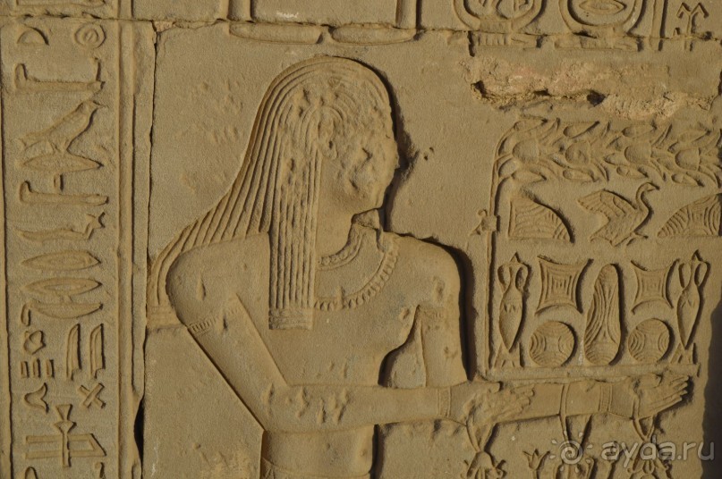 Альбом отзыва "Африканские записки"