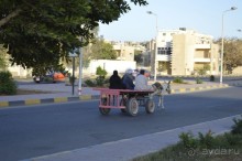 Альбом отзыва "Африканские записки"