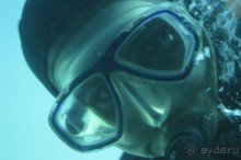 Африканские записки