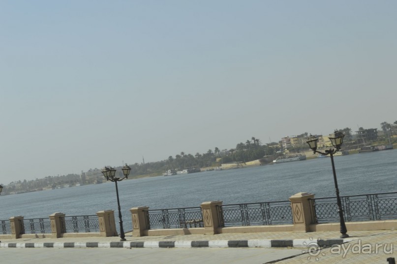 на берегу Нила