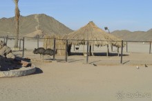 Альбом отзыва "Африканские записки"