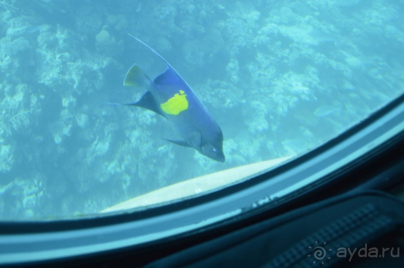 Африканские записки