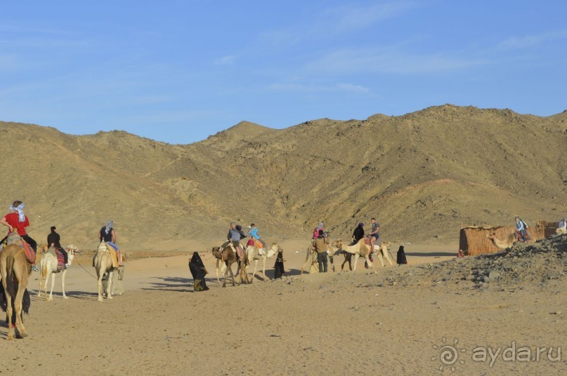 Африканские записки