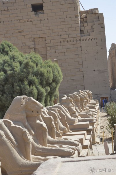 Африканские записки