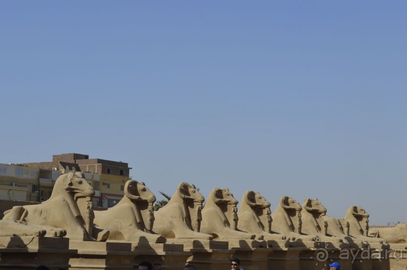 аллея сфинксов