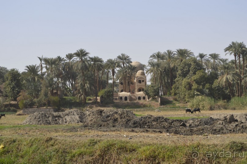 Африканские записки