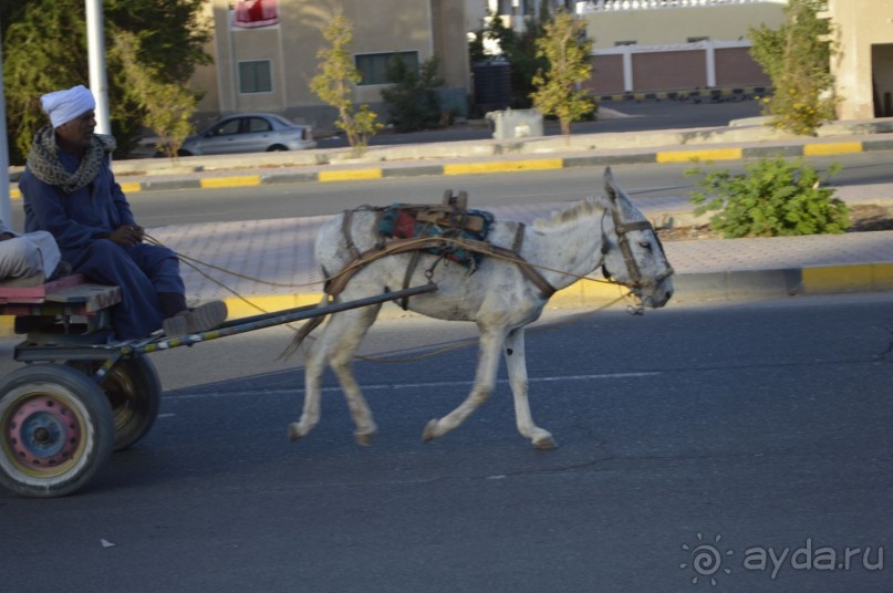 Африканские записки