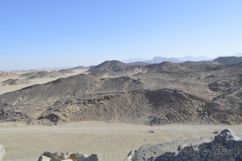 аравийская пустыня