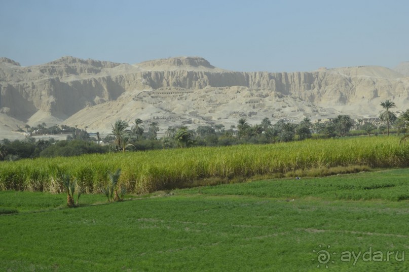 Африканские записки