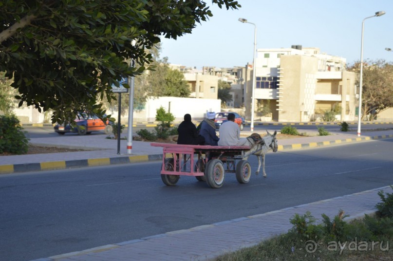 Африканские записки