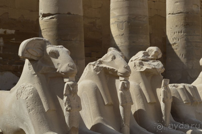 Африканские записки