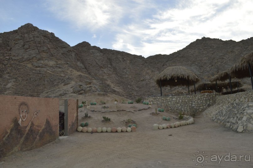 Африканские записки