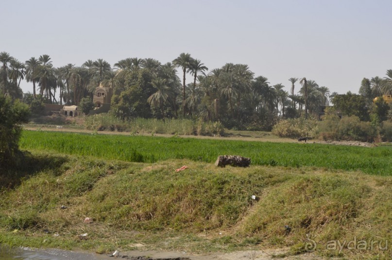 Африканские записки