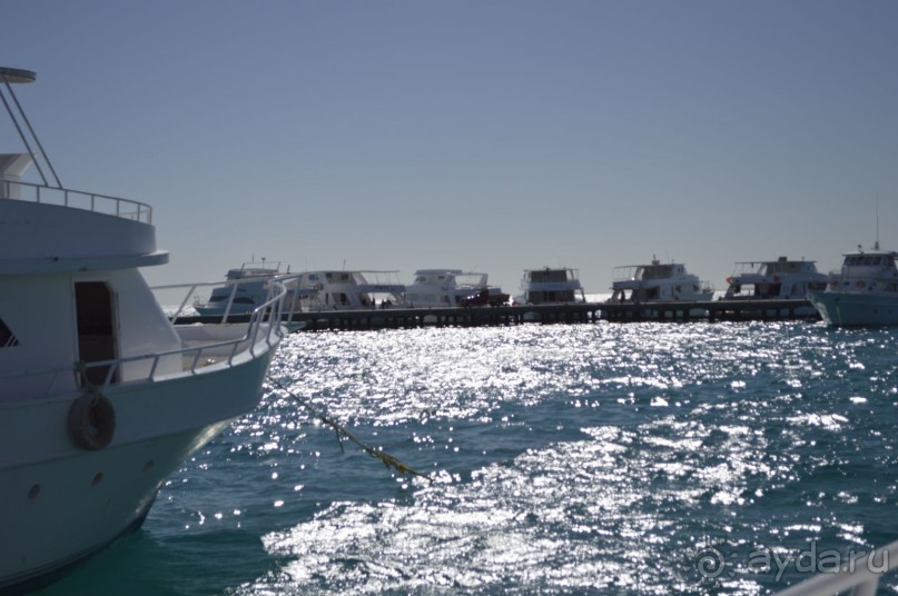 Африканские записки