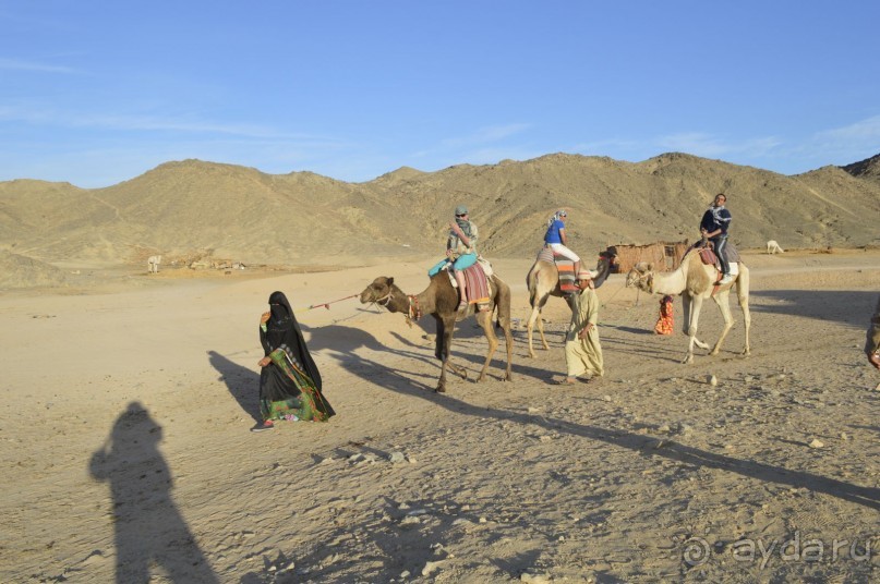 Африканские записки