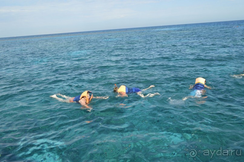 Африканские записки