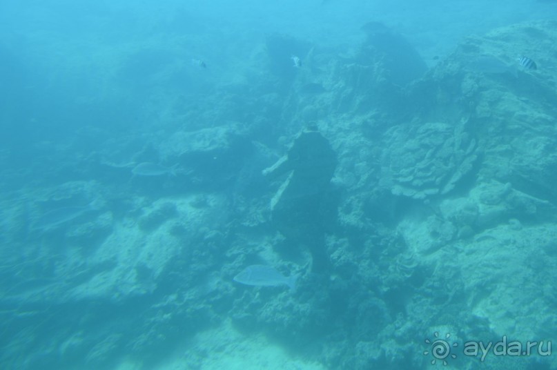 Африканские записки