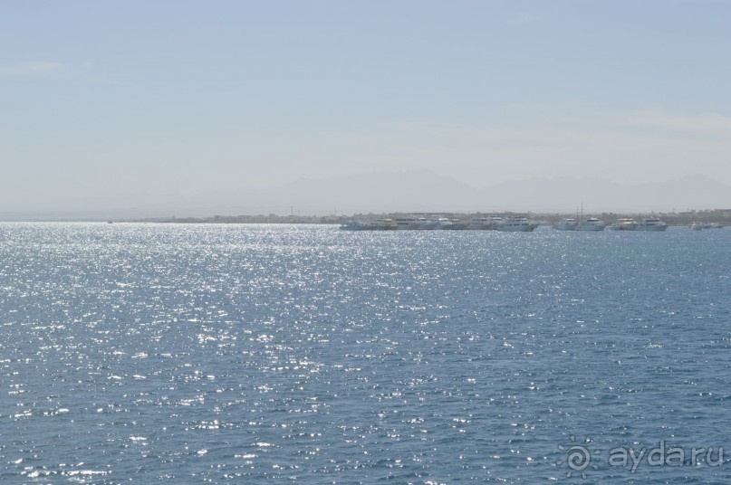 Африканские записки