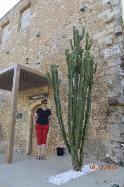 Чудесный остров.!часть 1.