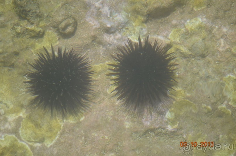 Чудесный остров.!часть 1.