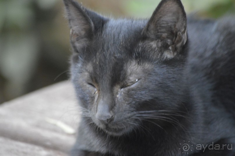 Чудесный остров.!часть 1.