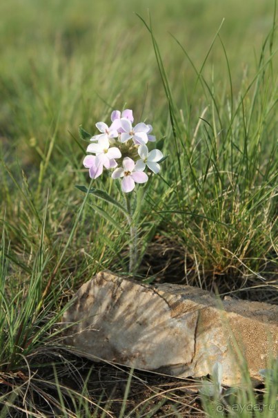 Аркаим - ровесник Египетских пирамид!