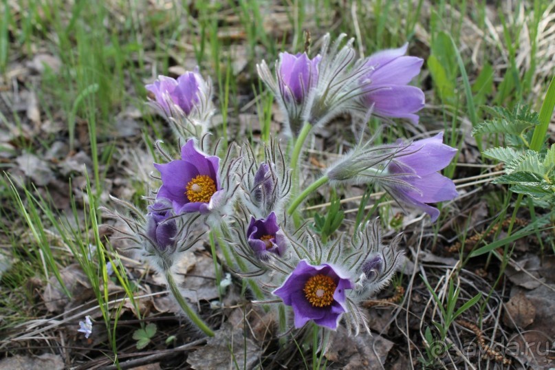 Аркаим - ровесник Египетских пирамид!