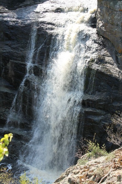 но ради красоты и не туда залезешь)