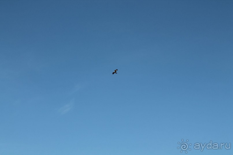 Аркаим - ровесник Египетских пирамид!