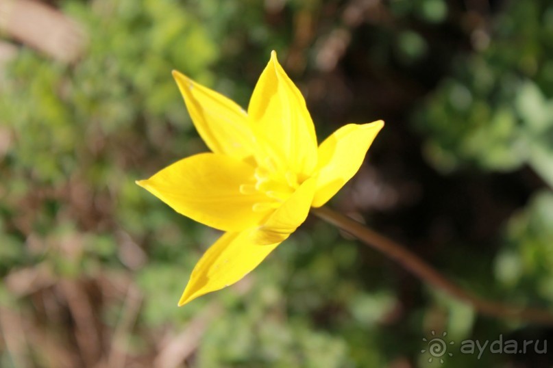 Аркаим - ровесник Египетских пирамид!