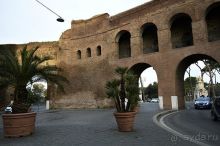 порта пинчо