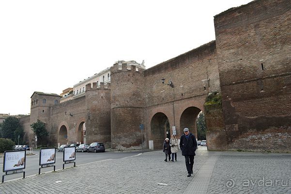 порта пинчо