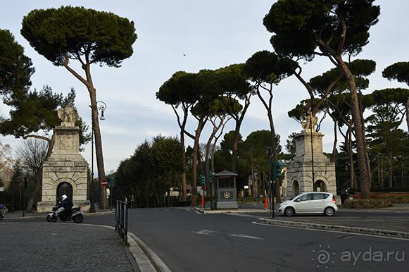 порта пинчо