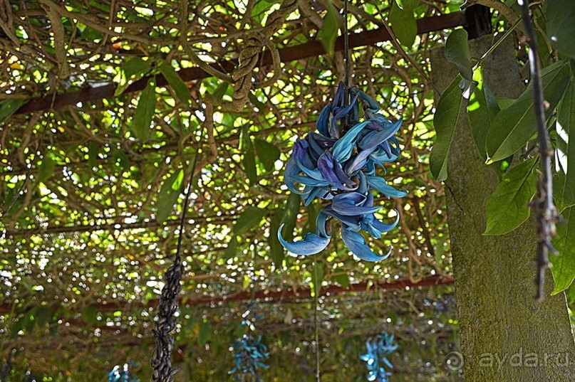 Экскурсии из Нячанга. ДАЛАТ.