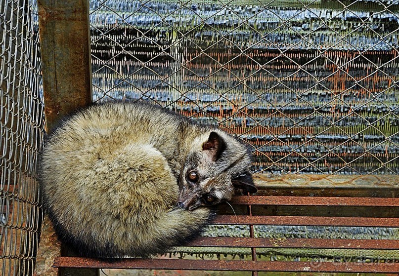 Экскурсии из Нячанга. ДАЛАТ.